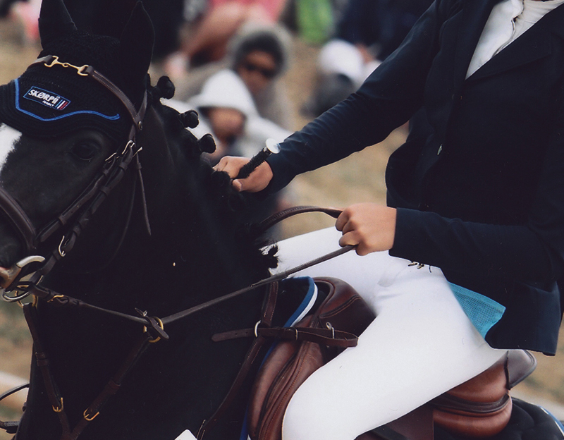 Équitation